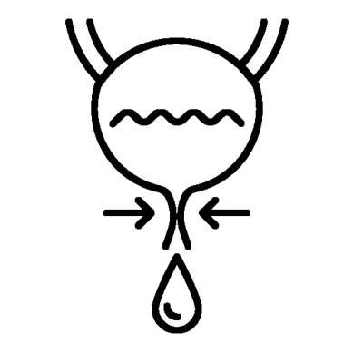 Stresna urinarna inkontinencija icon